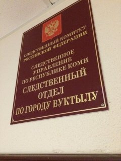 В Вуктыле по факту получения женщиной травм в результате нападения бездомных собак организована процессуальная проверка